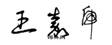 曾庆福王嘉虎草书个性签名怎么写