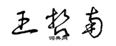 曾庆福王哲南草书个性签名怎么写