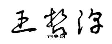 曾庆福王哲淳草书个性签名怎么写