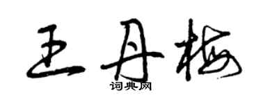 曾庆福王丹梅草书个性签名怎么写