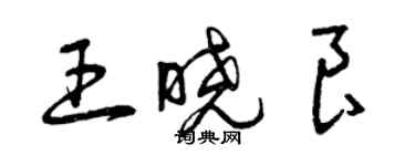 曾庆福王晓良草书个性签名怎么写