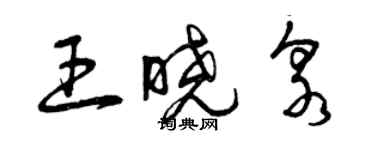 曾庆福王晓泉草书个性签名怎么写