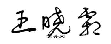 曾庆福王晓霜草书个性签名怎么写