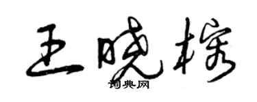 曾庆福王晓榕草书个性签名怎么写