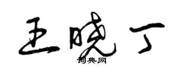 曾庆福王晓丁草书个性签名怎么写