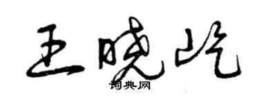 曾庆福王晓屹草书个性签名怎么写