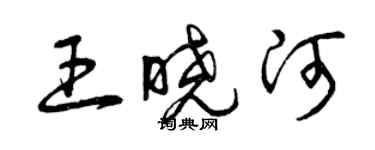 曾庆福王晓河草书个性签名怎么写