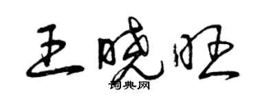 曾庆福王晓旺草书个性签名怎么写