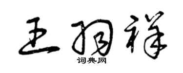 曾庆福王羽祥草书个性签名怎么写