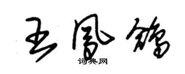 朱锡荣王凤鸽草书个性签名怎么写