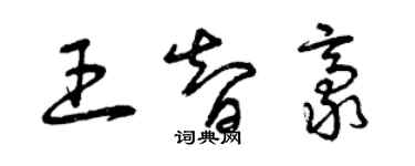曾庆福王智豪草书个性签名怎么写