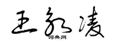 曾庆福王永凌草书个性签名怎么写