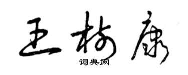 曾庆福王树康草书个性签名怎么写