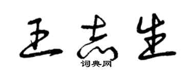 曾庆福王志生草书个性签名怎么写