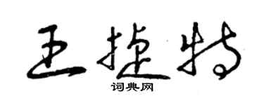 曾庆福王捷特草书个性签名怎么写