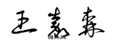 曾庆福王嘉森草书个性签名怎么写