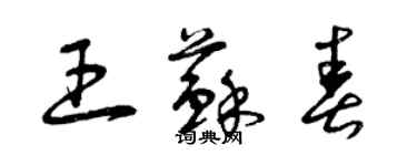 曾庆福王苏春草书个性签名怎么写