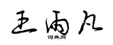 曾庆福王雨凡草书个性签名怎么写