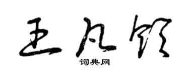 曾庆福王凡领草书个性签名怎么写