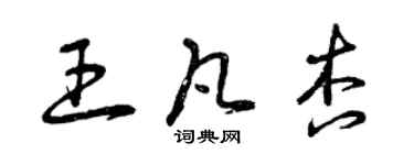 曾庆福王凡杏草书个性签名怎么写