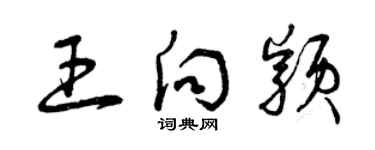 曾庆福王向颖草书个性签名怎么写