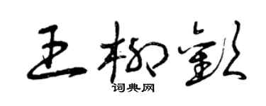 曾庆福王柳欢草书个性签名怎么写