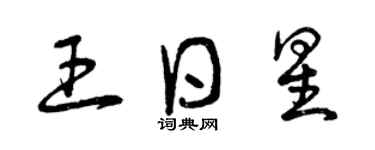 曾庆福王日星草书个性签名怎么写