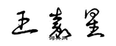 曾庆福王嘉星草书个性签名怎么写