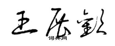 曾庆福王展欢草书个性签名怎么写
