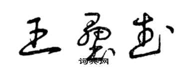 曾庆福王垒武草书个性签名怎么写