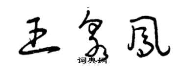 曾庆福王泉凤草书个性签名怎么写