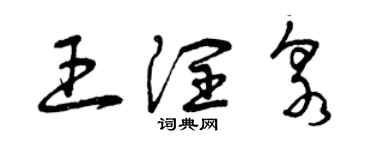 曾庆福王润泉草书个性签名怎么写
