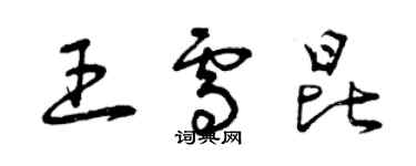 曾庆福王雪昆草书个性签名怎么写