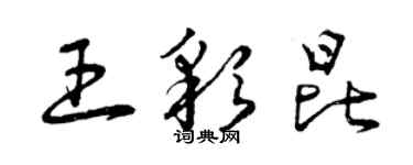 曾庆福王彩昆草书个性签名怎么写