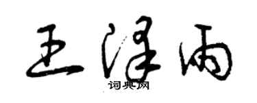 曾庆福王泽雨草书个性签名怎么写