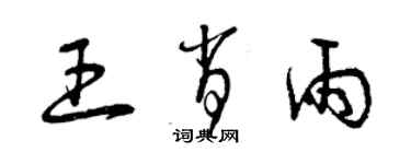 曾庆福王肖雨草书个性签名怎么写