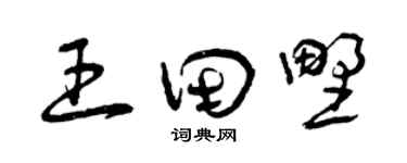曾庆福王田野草书个性签名怎么写