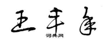 曾庆福王丰年草书个性签名怎么写