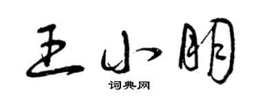 曾庆福王小朋草书个性签名怎么写