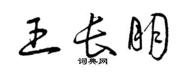 曾庆福王长朋草书个性签名怎么写