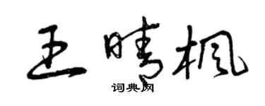 曾庆福王晴枫草书个性签名怎么写