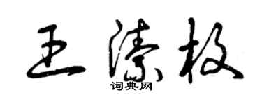 曾庆福王洁枚草书个性签名怎么写