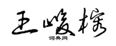 曾庆福王峻榕草书个性签名怎么写