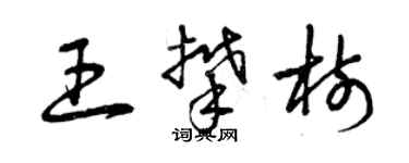 曾庆福王攀树草书个性签名怎么写