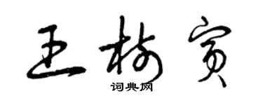 曾庆福王树宾草书个性签名怎么写
