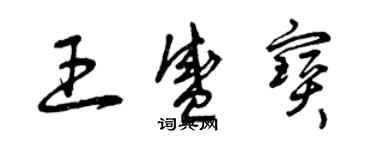 曾庆福王盛宝草书个性签名怎么写