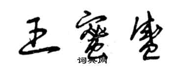 曾庆福王蜜盛草书个性签名怎么写