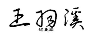 曾庆福王羽溪草书个性签名怎么写