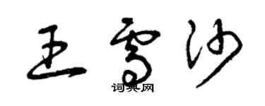 曾庆福王雪沙草书个性签名怎么写