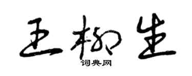 曾庆福王柳生草书个性签名怎么写